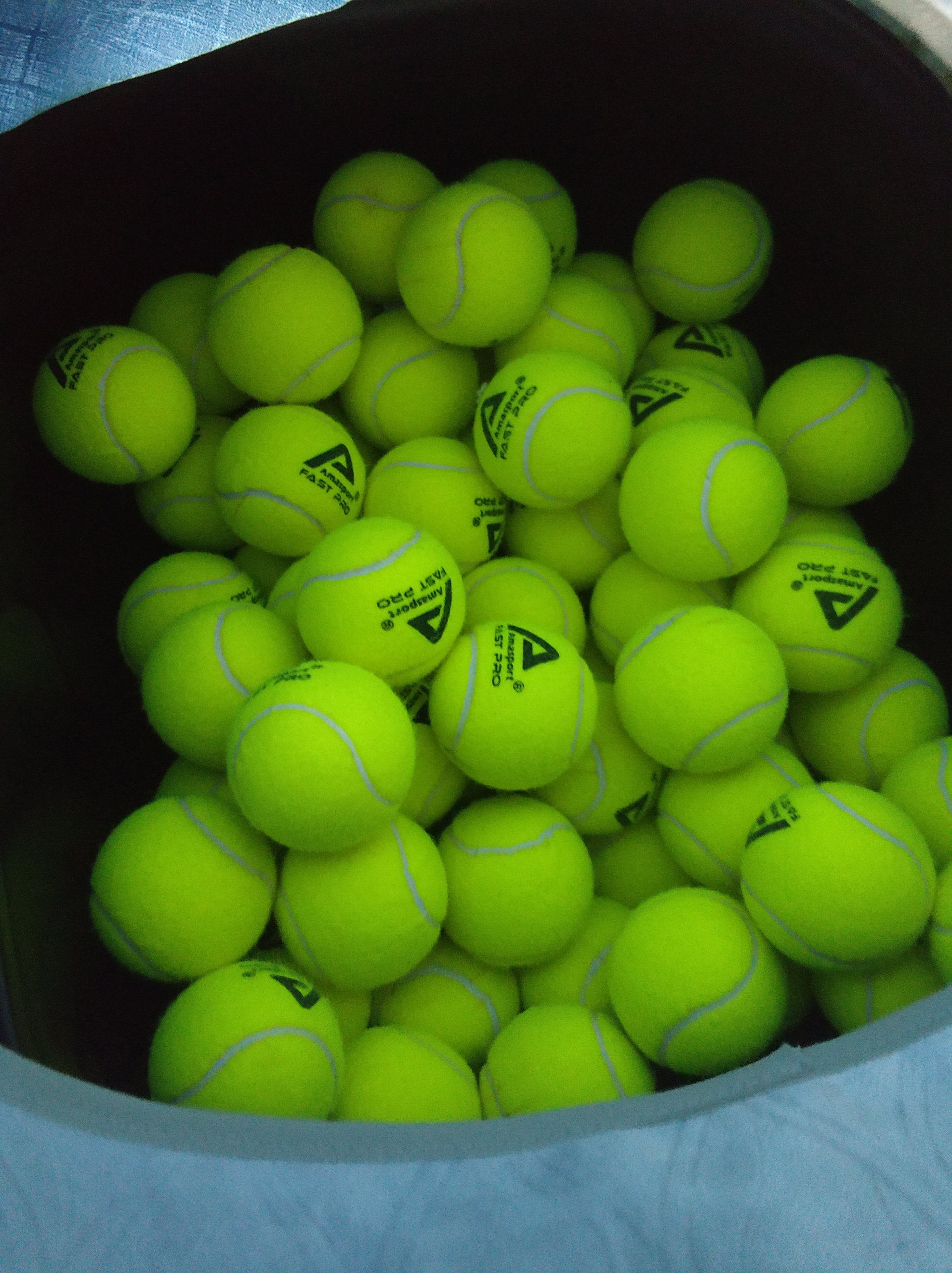 赛中需要足 赛中需要足