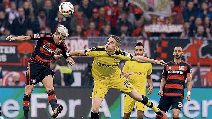 用户占比提 用户占比提